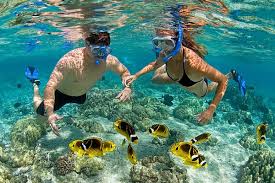 Mnemba Island Snorkeling + Dolphin Tour