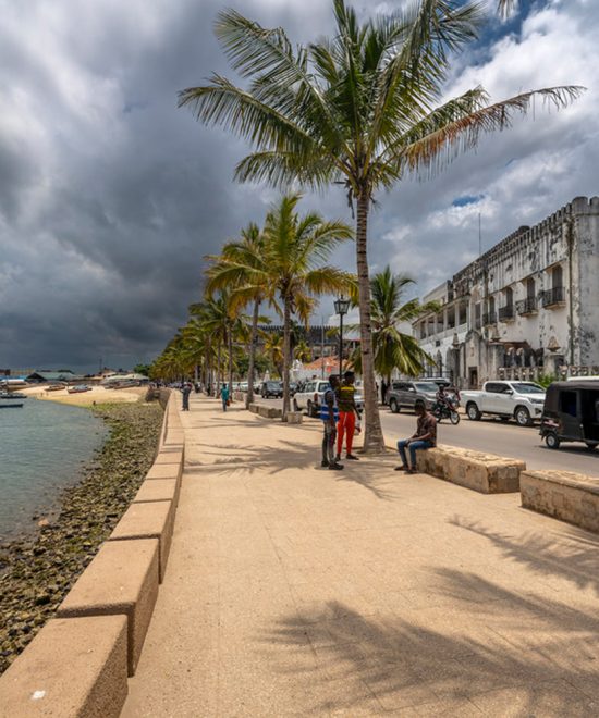 Stone Town City Tour