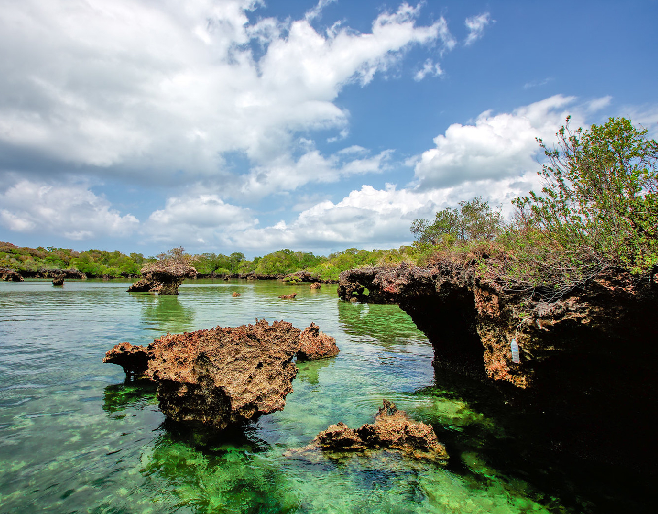 Safari Blue Tour, snorkeling with sea food lunch