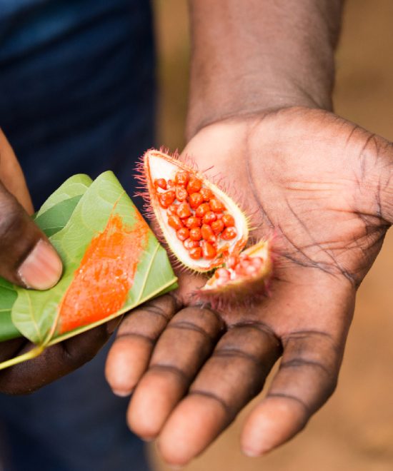 Spice Farm Tour