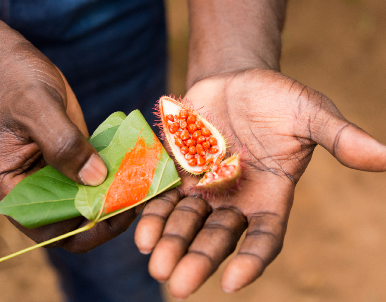 Spice farm Walking Tour