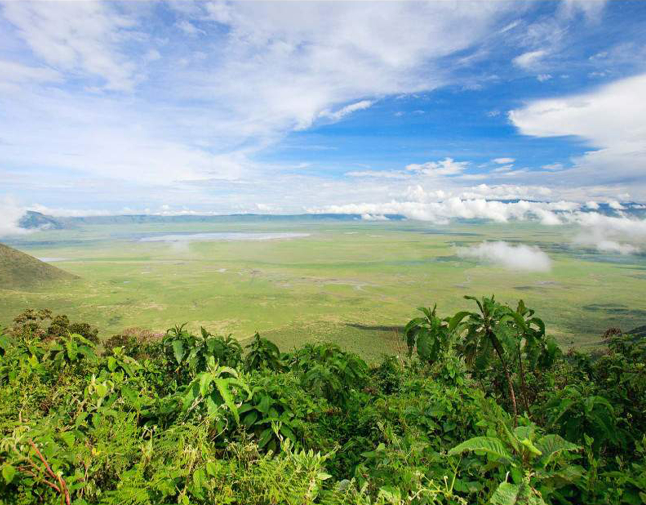 3-Day Tarangire, Ngorongoro & Manyara Best Tour & Safari